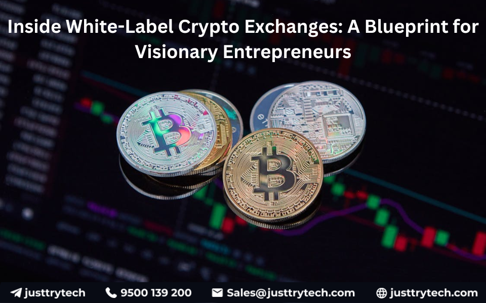 Inside White-Label Crypto Exchanges: A Blueprint for Visionary Entrepreneurs