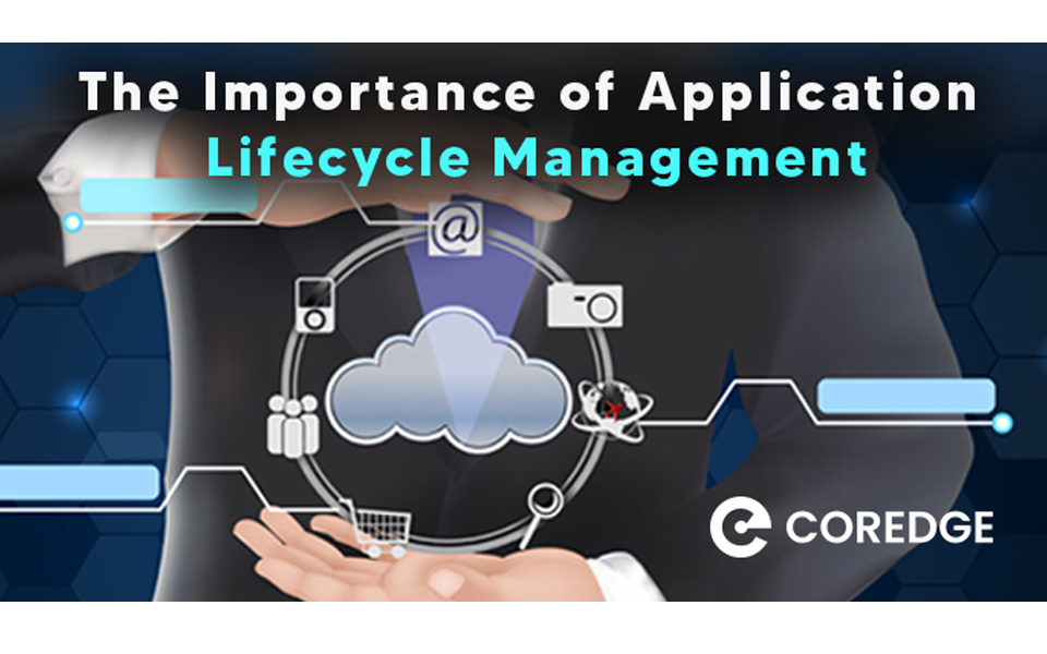 Maximizing Efficiency and Minimizing Risk: The Importance of Application Lifecycle Management