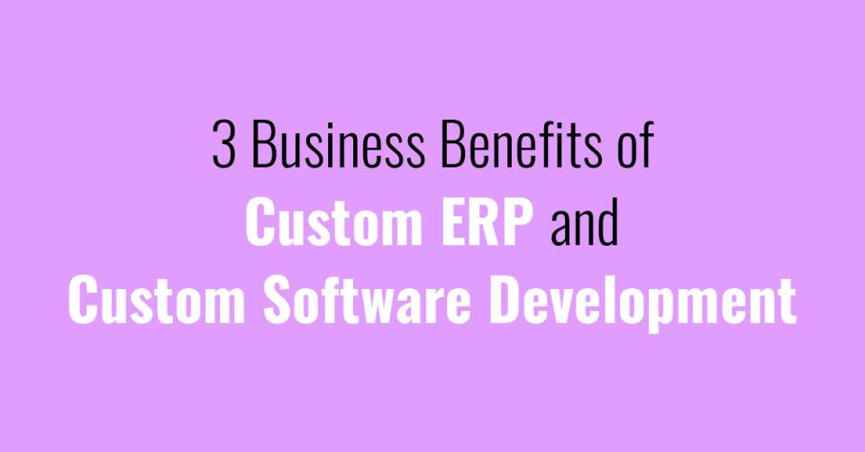 3 Business Benefits of Custom ERP and Custom Software Development
