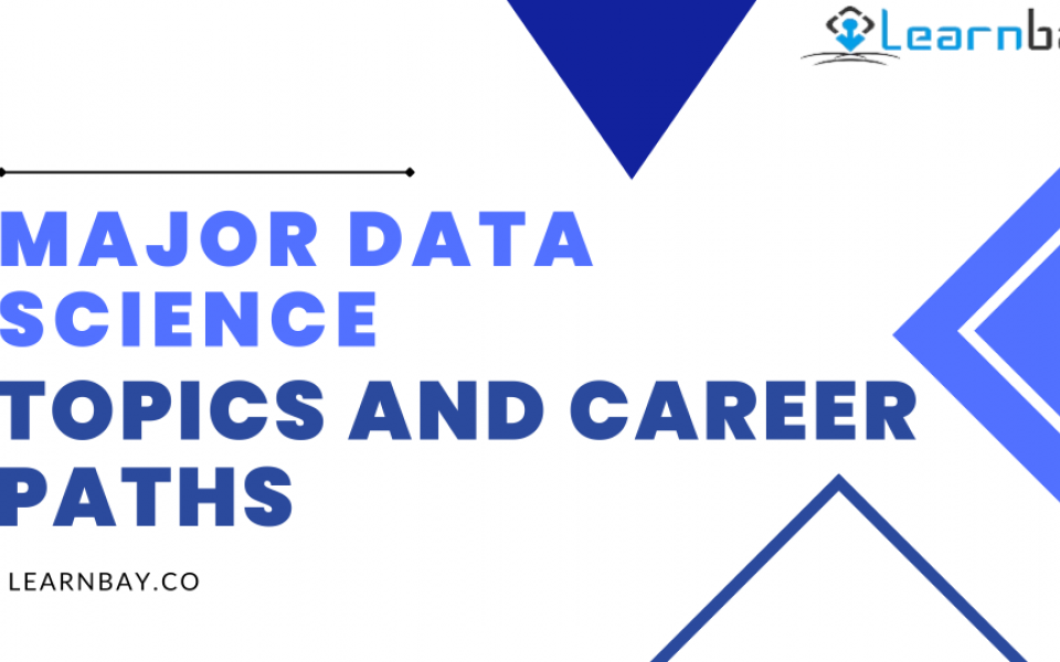 Major Data Science Topics and Career Paths