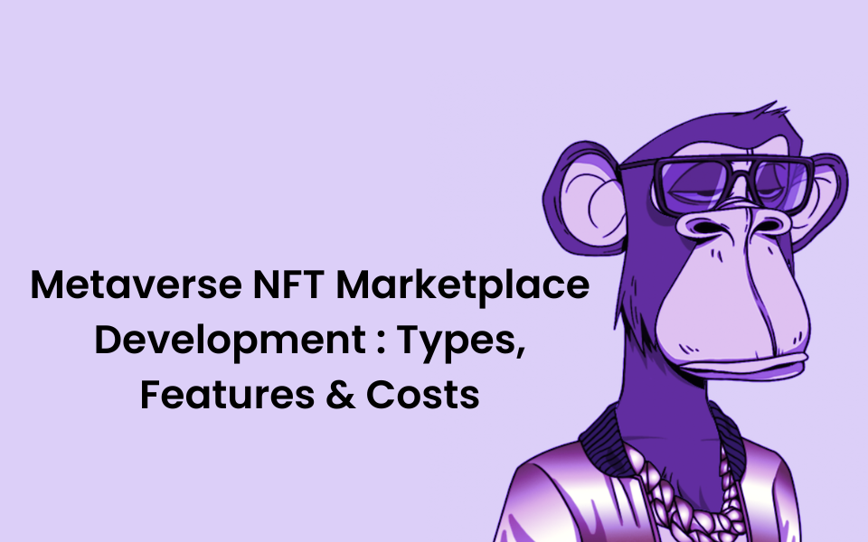 Metaverse NFT Marketplace Development: Types, Features & Costs