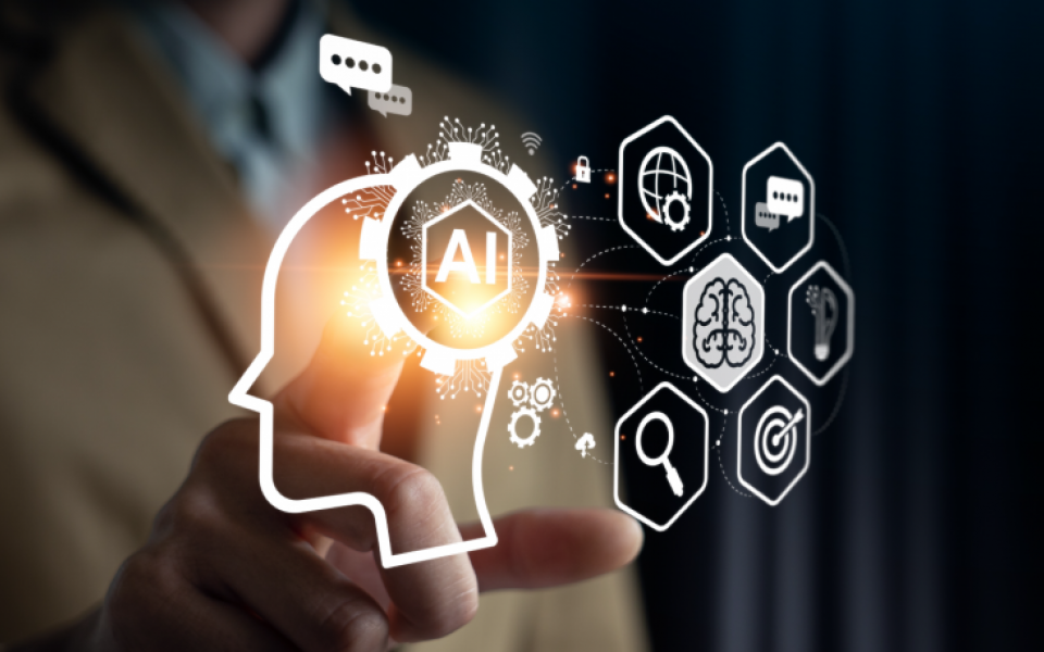 Driving Business Agility through Business Transformation Organization