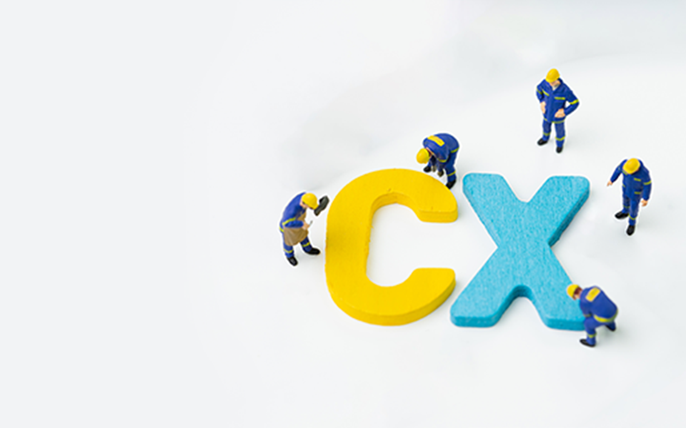 Creating a CX Center of Excellence - Their Benefits, Insights, and Examples