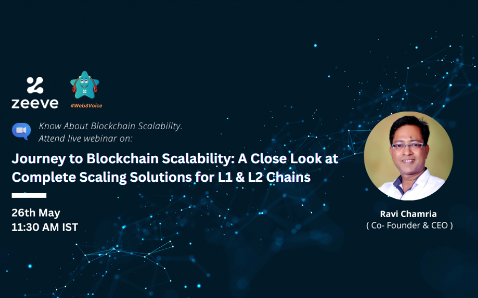 "Journey to Blockchain Scalability: A Close Look at Complete Scaling Solutions for L1 & L2 Chains"