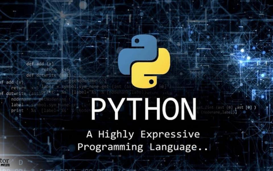 How to become a successful Python Developer in 2022?  