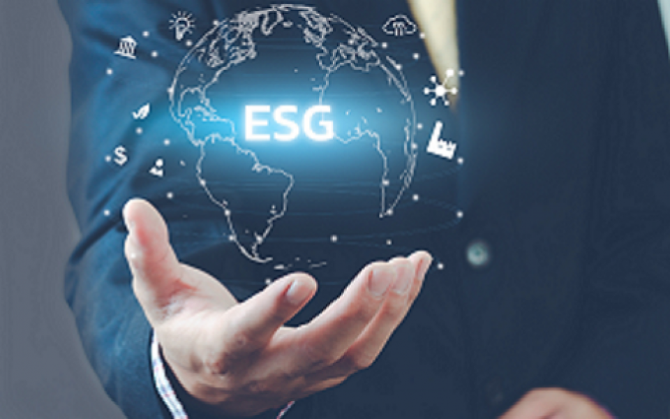 ESG Ratings in Emerging Markets: Challenges and Opportunities for Asset Managers 