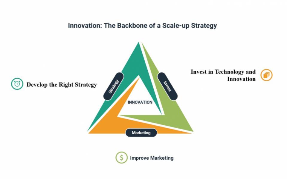 Innovation: The Backbone of a Scale-up Strategy (1/2)