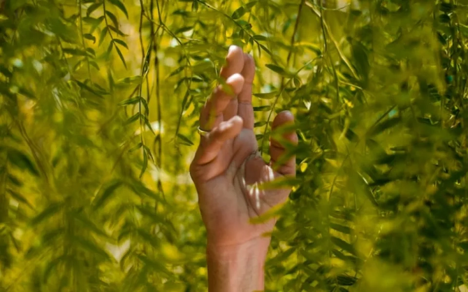 The Importance of Sustainable Agriculture 