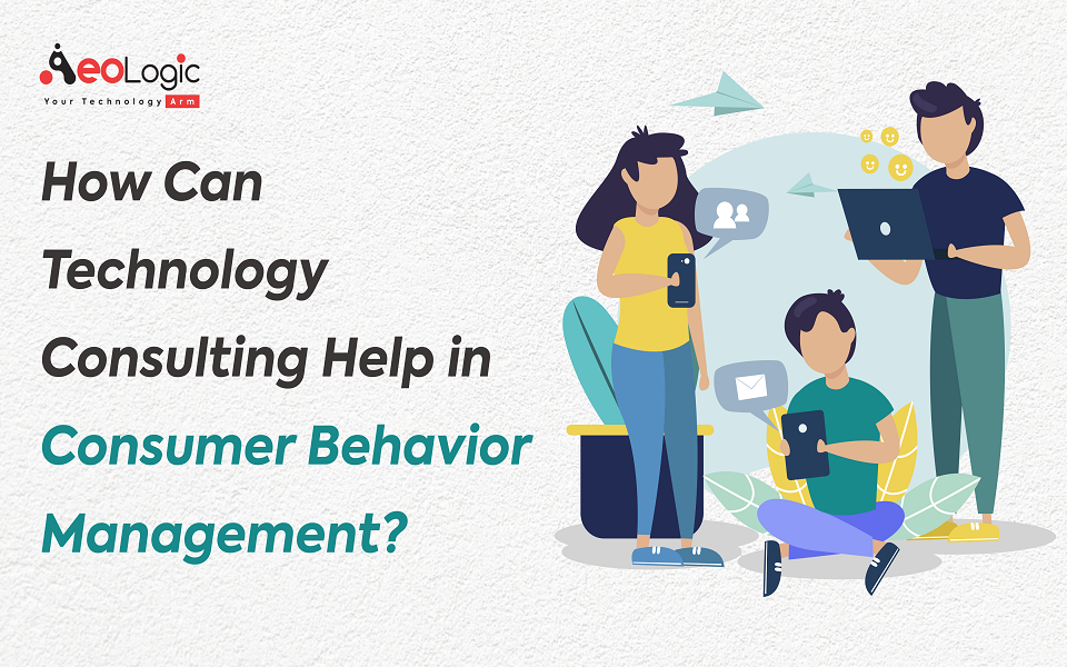 How Can Technology Consulting Help in Consumer Behavior Management?