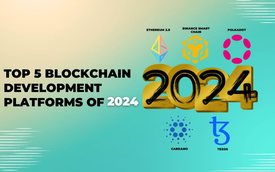 Top 5 Blockchain Development Platforms of 2024