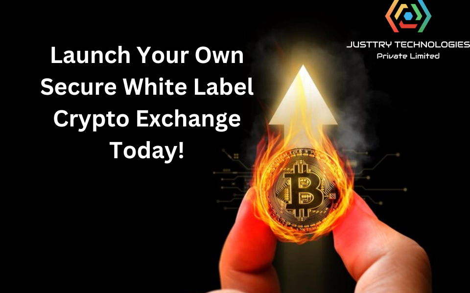 Why Startups are Opting for White Label Crypto Exchanges: A Smart Move in 2024