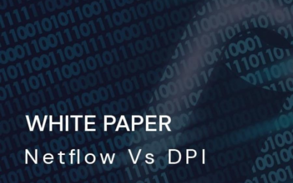NETFLOW VS DPI: Know the difference