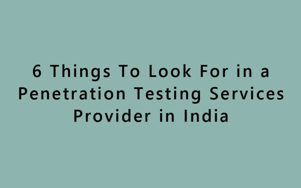 6 Things To Look For in a Penetration Testing Services Provider in India