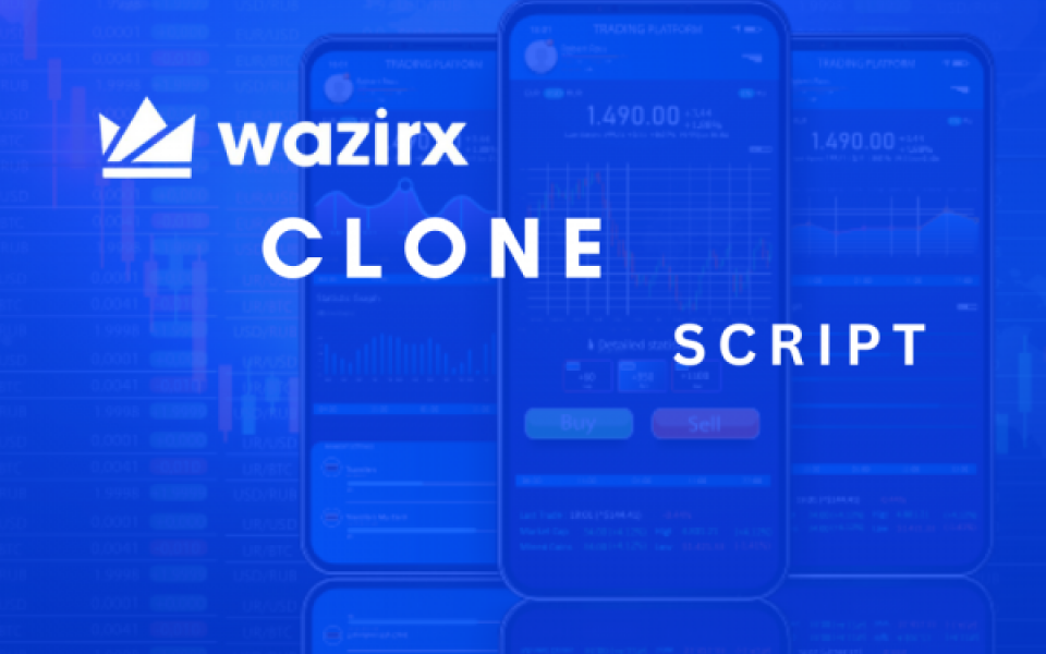 How to Choose the best WazirX Clone Script Development Company
