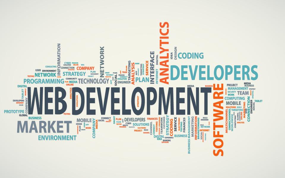  Why is There a Rise in Popularity of Web Development?