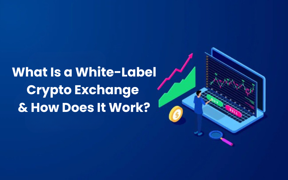 What Is a White-Label Crypto Exchange & How Does It Work?