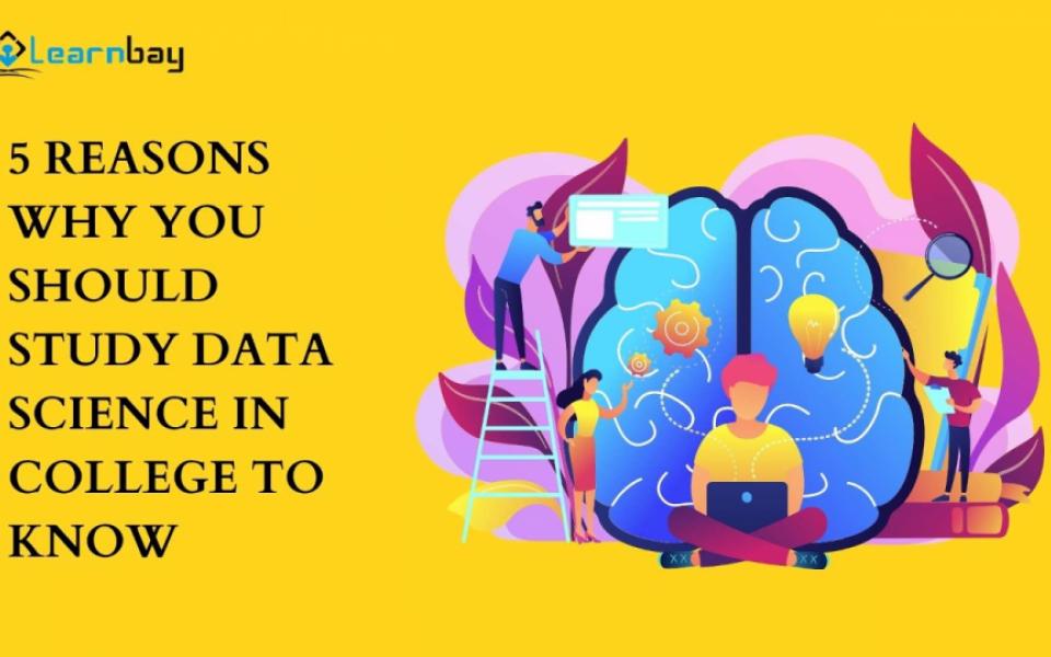  5 Key Reasons Why You Should Major In Data Science in 2023