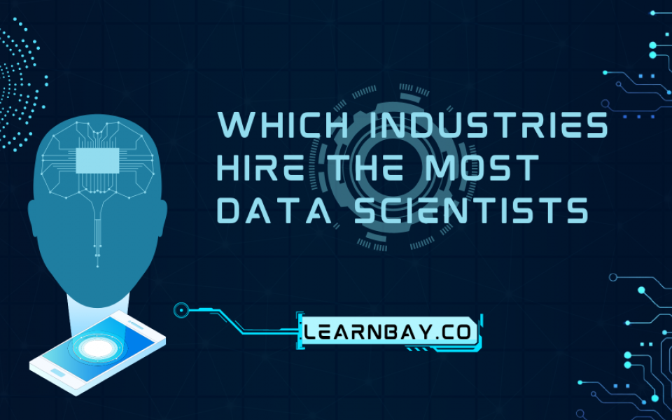 Which Industries hire the most Data Scientists?