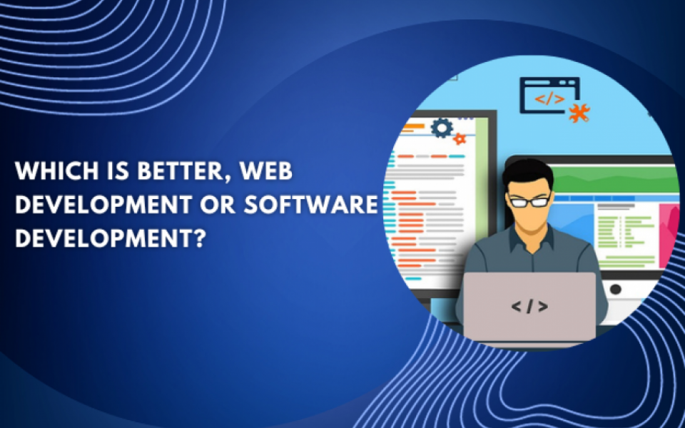 Which is better, web development or software development?