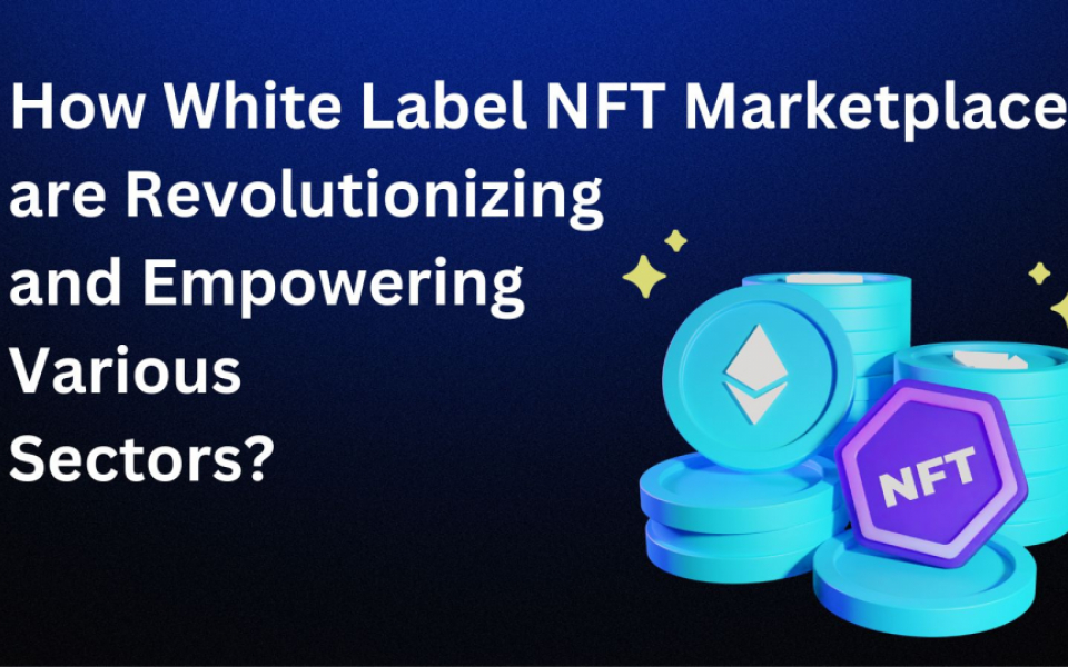 How White Label NFT Marketplaces are Revolutionizing and Empowering Various Sectors?