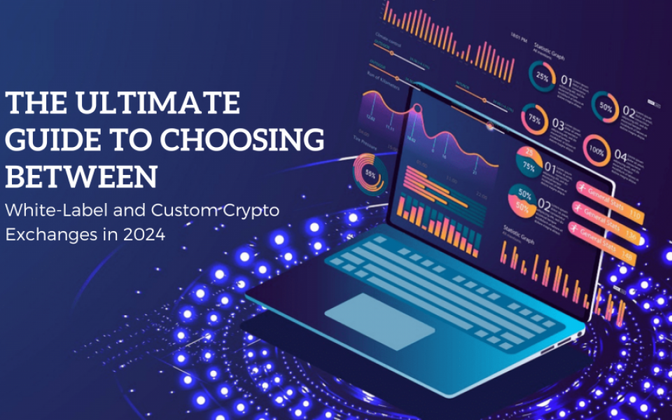 The Ultimate Guide to Choosing Between White-Label and Custom Crypto Exchanges in 2024