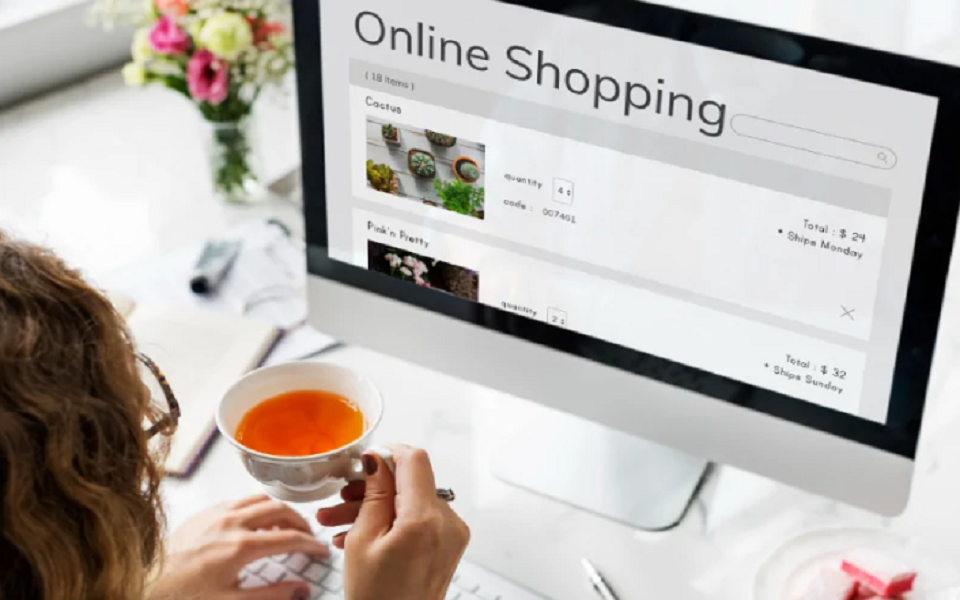 Why Choose nopCommerce For Your E-Commerce Needs?