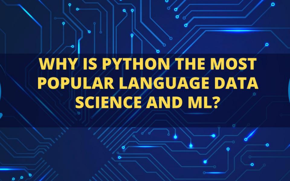 Why Is Python The Most Popular Language Data Science and ML?