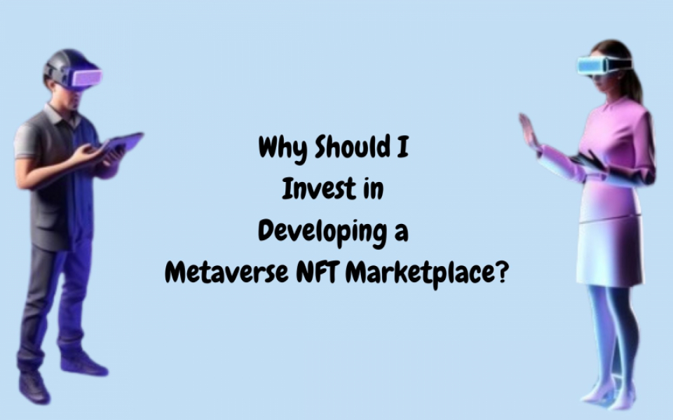 Why Should I Invest in Developing a Metaverse NFT Marketplace?