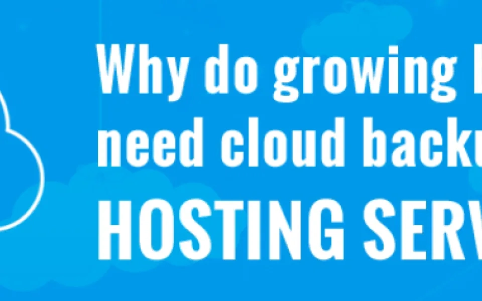 Why do growing businesses need cloud backup hosting services?