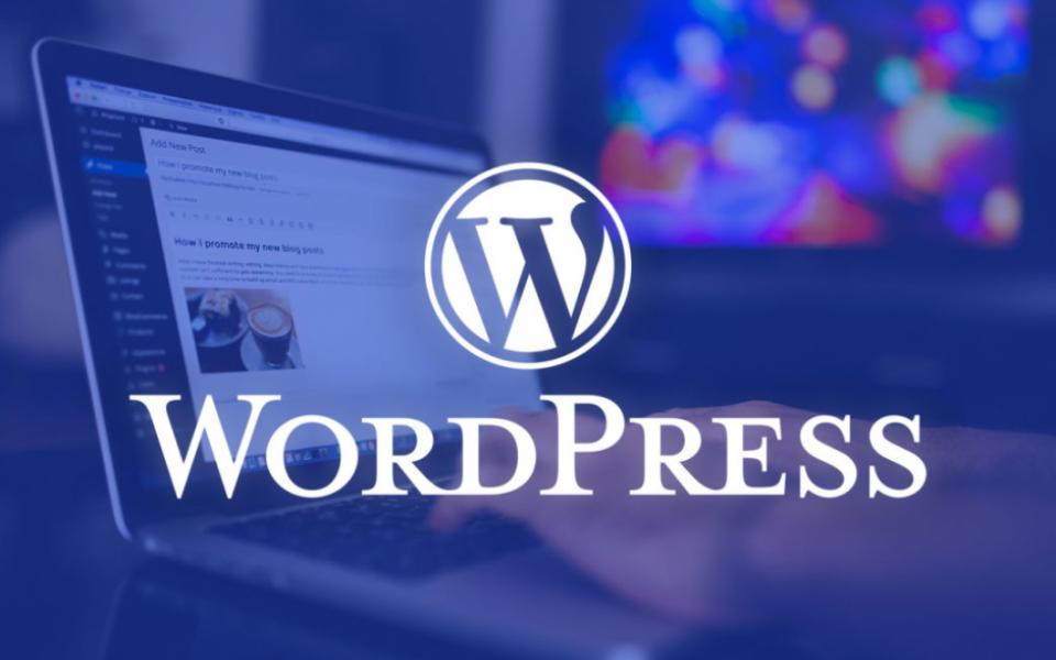 How to secure your WordPress Website?