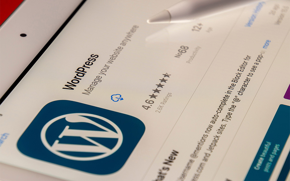 Empowering Your Business with WordPress Website Development