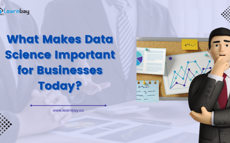 What Makes Data Science Important for Businesses Today?