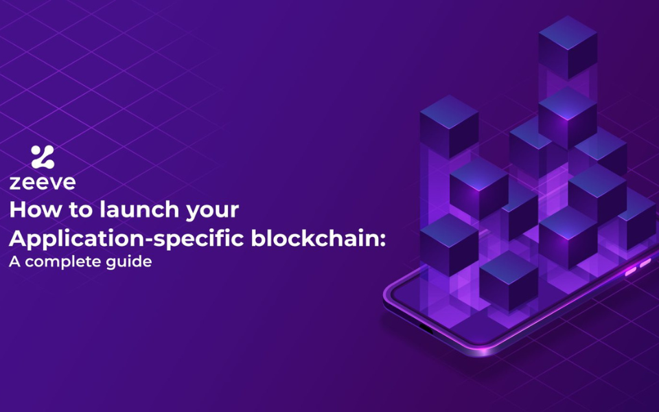 How to launch your Application-specific blockchain: A complete guide