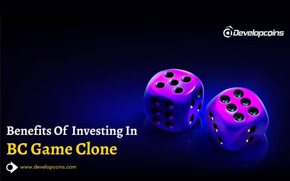 How a BC Game Clone Can Boost Your Profit Potential?