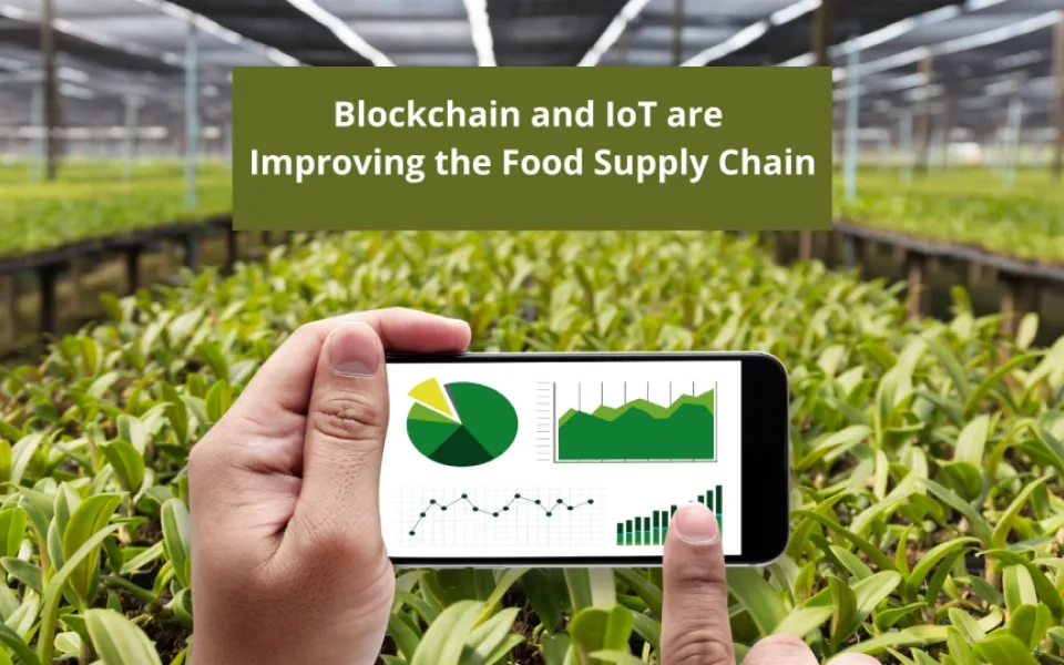 How Blockchain and IoT are Improving the Food Supply Chain