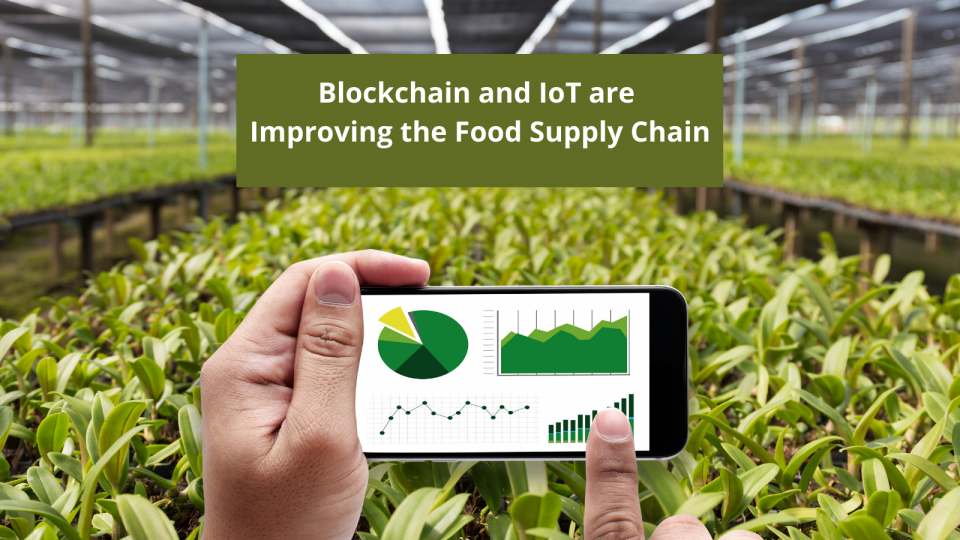 How Blockchain and IoT are Improving the Food Supply Chain