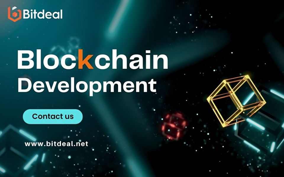 Top 5 Preferable Blockchain Networks for Token Development