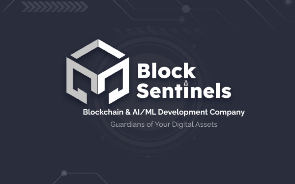 Block Sentinels: Your Trusted Partner for Blockchain Development Solutions