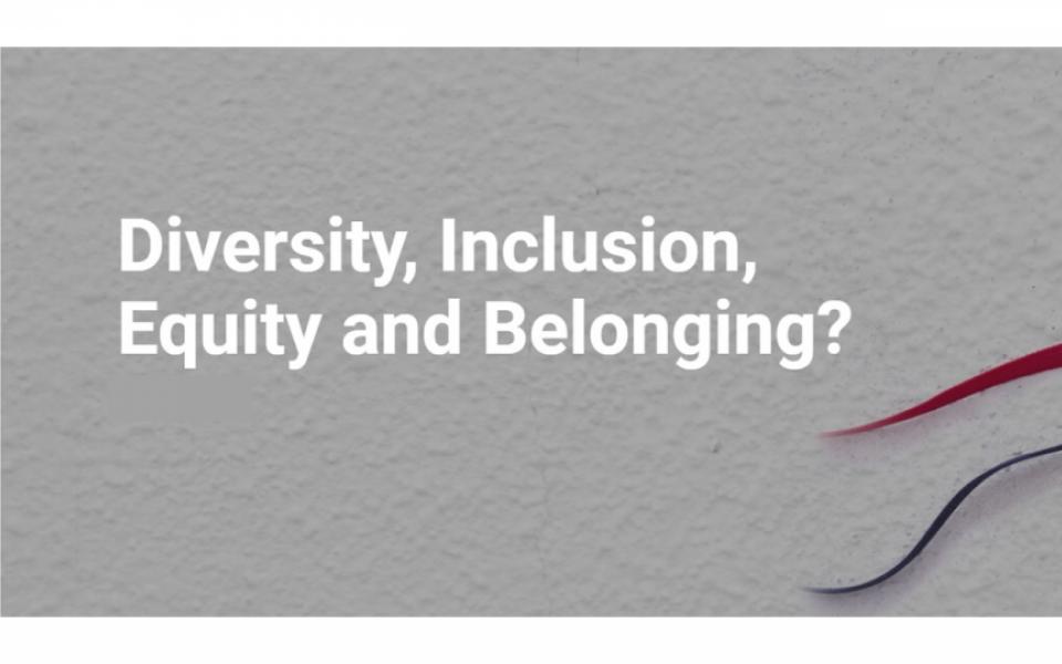  Diversity, Inclusion, Equity and Belonging?