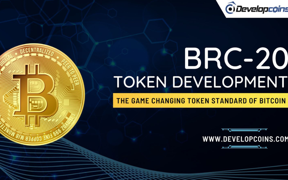 BRC 20 Token VS ERC20 Token -Know The Contrasting Facts