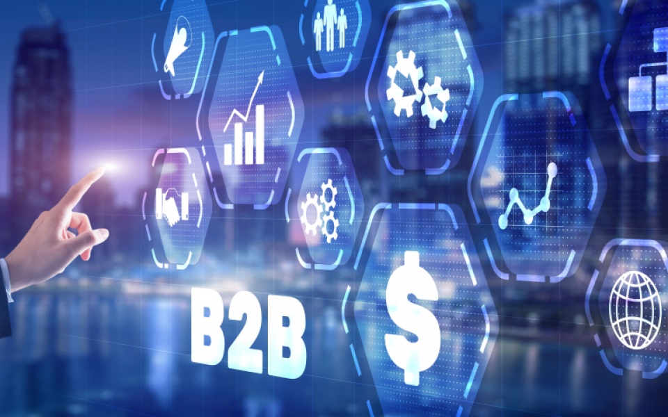 Personalization Mastery: The Art and Science of Micro-Targeting in B2B Leads