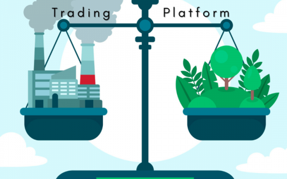 How To Choose Best Blockchain Based Carbon Credit Platform Development Company