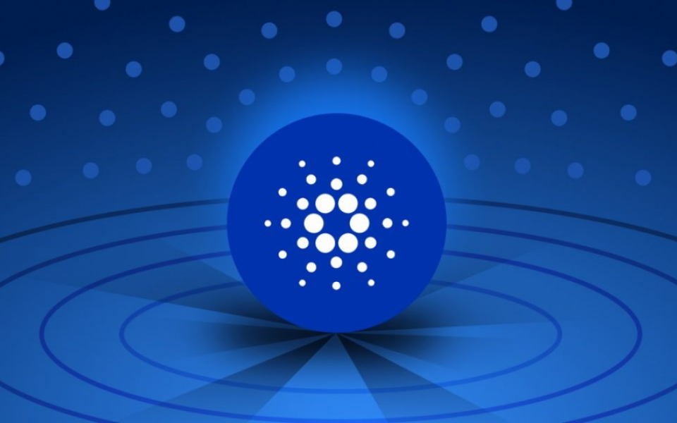Cardano NFT Marketplace: A Deep Dive into Development, Features, and Notable Projects