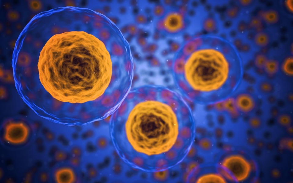 Next-Generation Antibody Therapeutics Market Size, Revenue, Trends, Competitive Landscape Study & Analysis, Forecast To 2035
