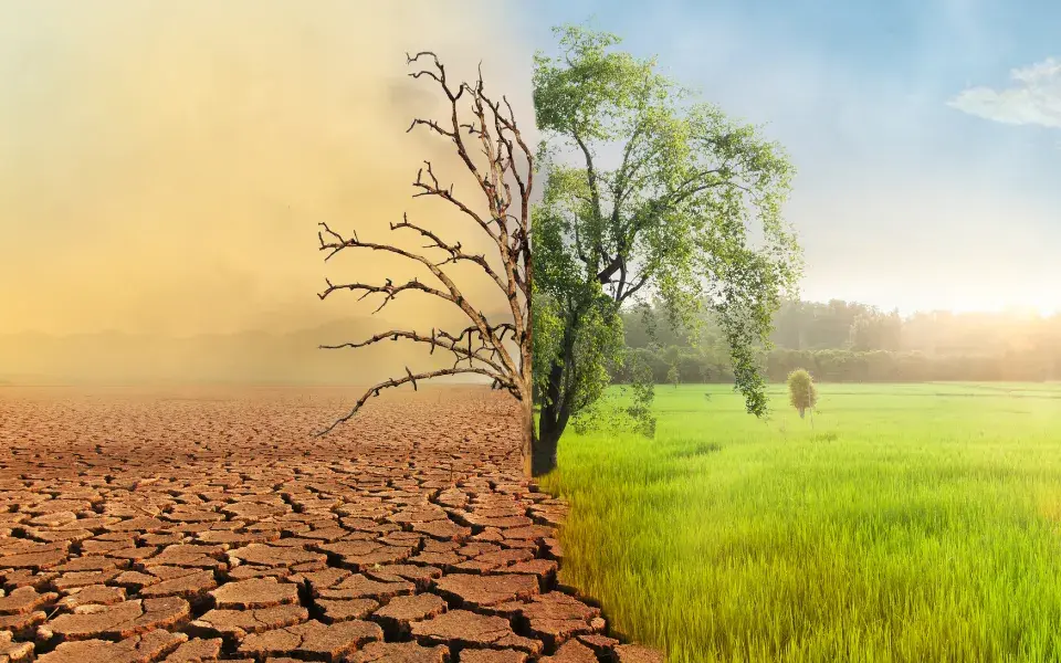 Climate Impact Data: Insights into Sustainability and Environmental Responsibility