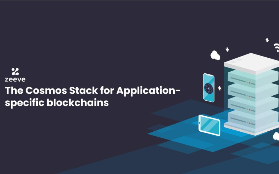 Digging Deep into the Cosmos Network Stack for Application-specific blockchains