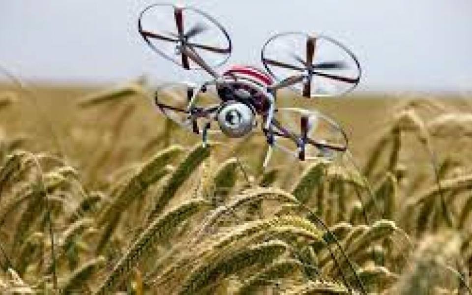 AI applications in agriculture