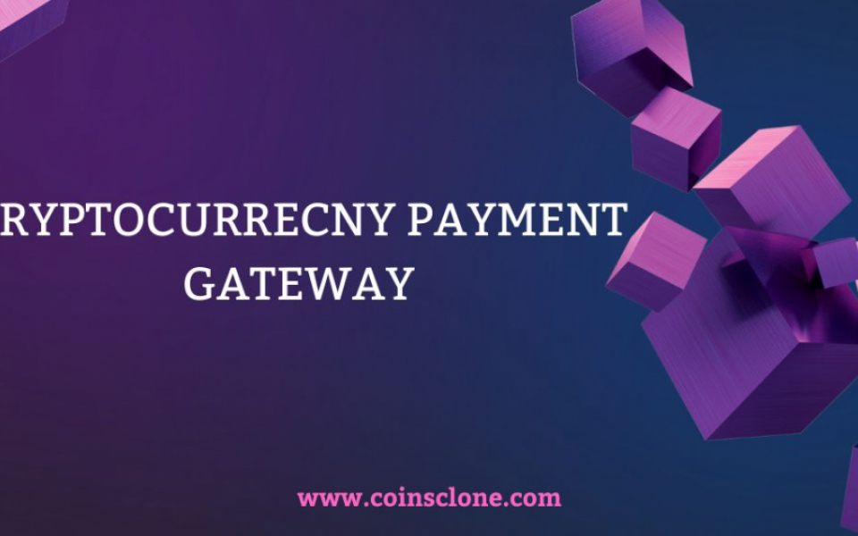 Cryptocurrency Payment Gateway Solutions for Startups