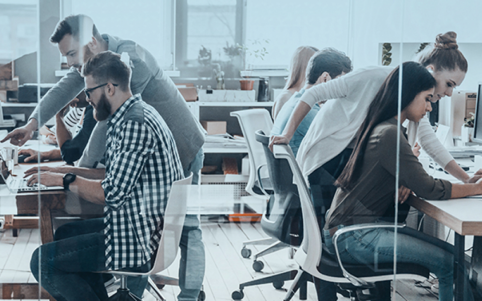 How a Wrong Data Collection Company Can Hurt Your Bottom Line