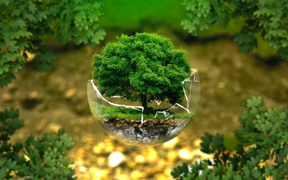 AI in Environment Tech: Does AI technology saves our Environment?